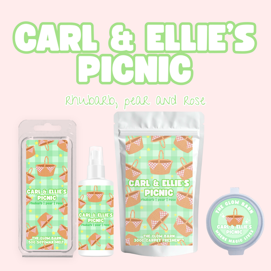 Carl & Ellie’s Picnic