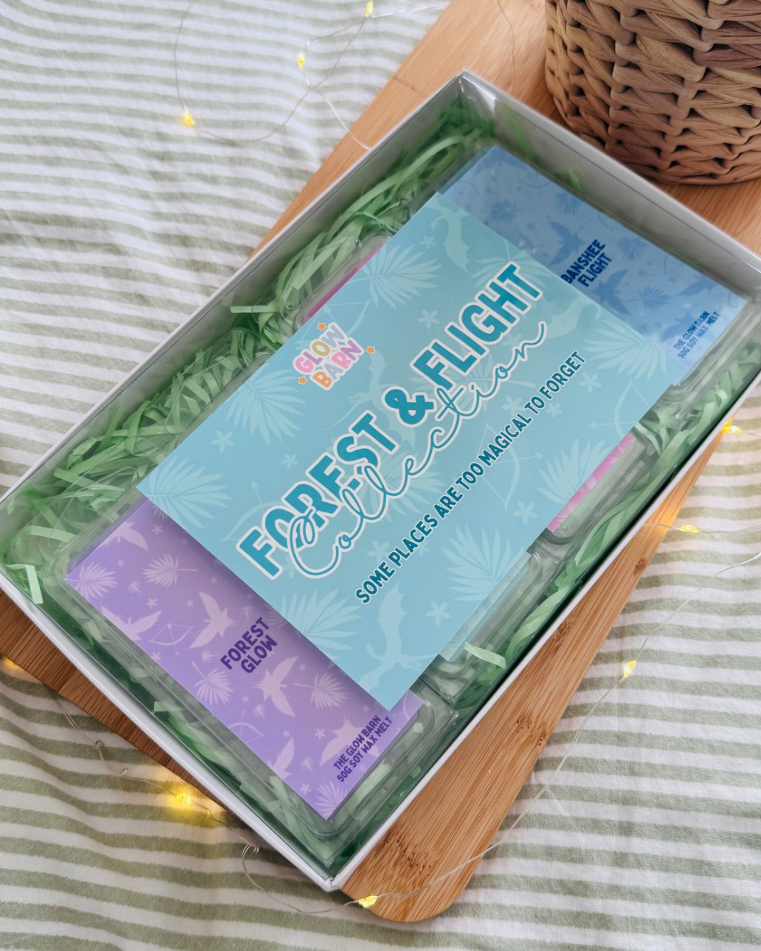 Forest & Flight Collection